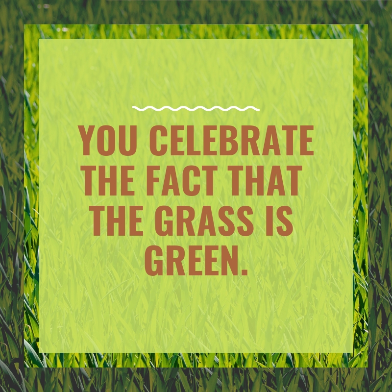 A grassy green background with "You Celebrate the fact that the grass is green." in brown writing.
